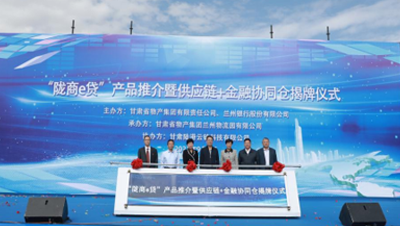 通過(guò)發(fā)行公司債券、不動(dòng)產(chǎn)投資信托基金（REITs）、培育上市公司等債權(quán)、股權(quán)融資工具和發(fā)起設(shè)立產(chǎn)業(yè)基金，拓寬多元化融資渠道；提供貨物在途監(jiān)管和在庫(kù)監(jiān)管，引入銀行、信托等金融機(jī)構(gòu)，開(kāi)展倉(cāng)單質(zhì)押、保理等業(yè)務(wù)；逐步拓展B2B供應(yīng)鏈服務(wù)平臺(tái)服務(wù)范圍，通過(guò)倉(cāng)配一體化、“隴易商”、供應(yīng)鏈+金融為區(qū)域流通行業(yè)及相關(guān)產(chǎn)業(yè)客戶(hù)提供“四流合一”的完整供應(yīng)鏈服務(wù)解決方案。