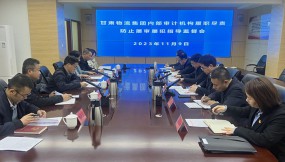  省審計(jì)廳黨組成員、副廳長陳炎人到 甘肅物流集團(tuán)指導(dǎo)監(jiān)督工作